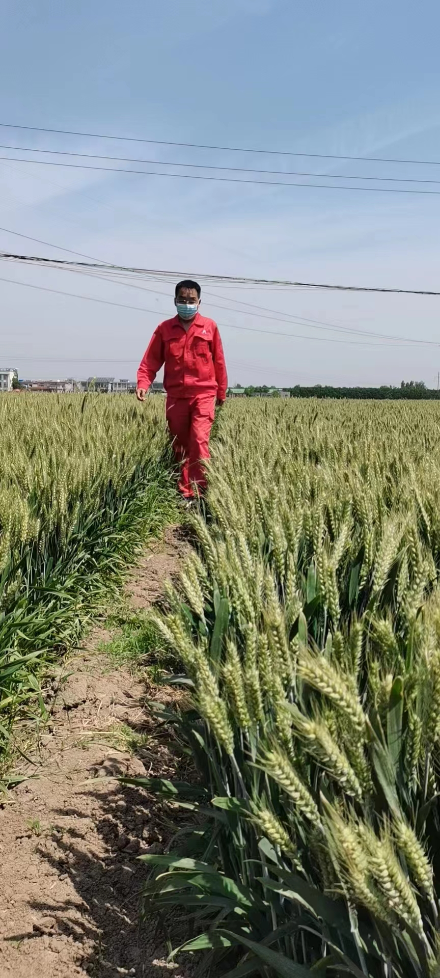 用心守護管道安全，全力保障豫北能源“生命線”——安彩能源開展安全檢查百里行主題黨日活動